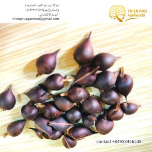 Aquilaria Crassna seeds